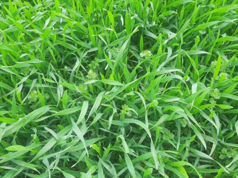 Szántóföld vásárlás vagy bérlés Gátér környékén Szántóföld vásárlás vagy bérlés Gátér környékén