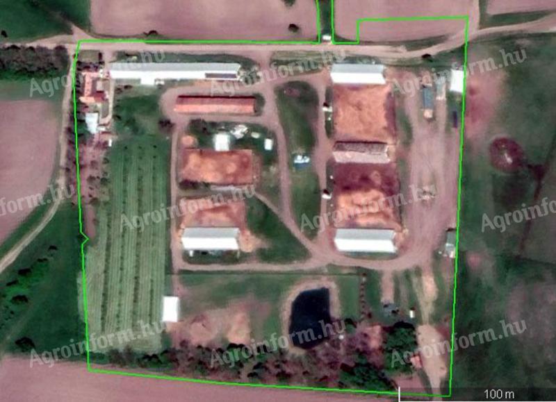 Traktoros, gépkezelő, karbantartó munkalehetőség birkatelepre