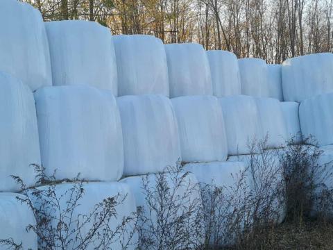 Csomagolt fű szenázs 130-as bálák eladó