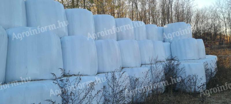 Csomagolt fű szenázs 130-as bálák eladó
