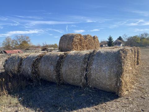 Körbálás szár eladó Körbálás szár eladó