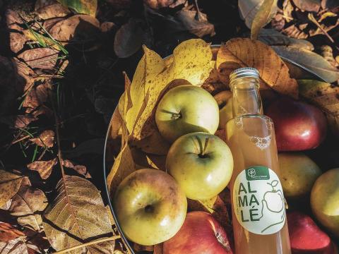 Gyümölcslé (alma és birs) eladó