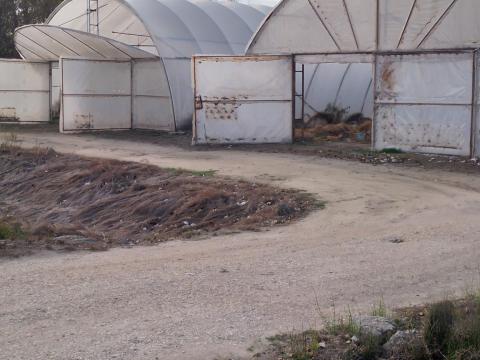 Dabason fóliasátor eladó