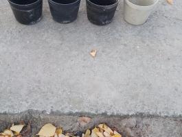 2370 Dabas Andrássy u. 35