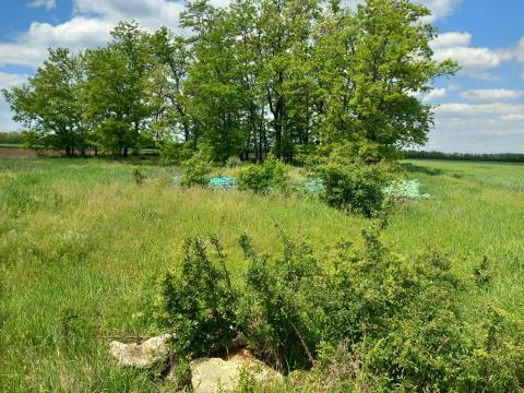 Sürgősen eladó 2996 m2 örökölt legelő Heves vármegye Csány külterület Sürgősen eladó 2996 m2 örökölt legelő Heves vármegye Csány külterület