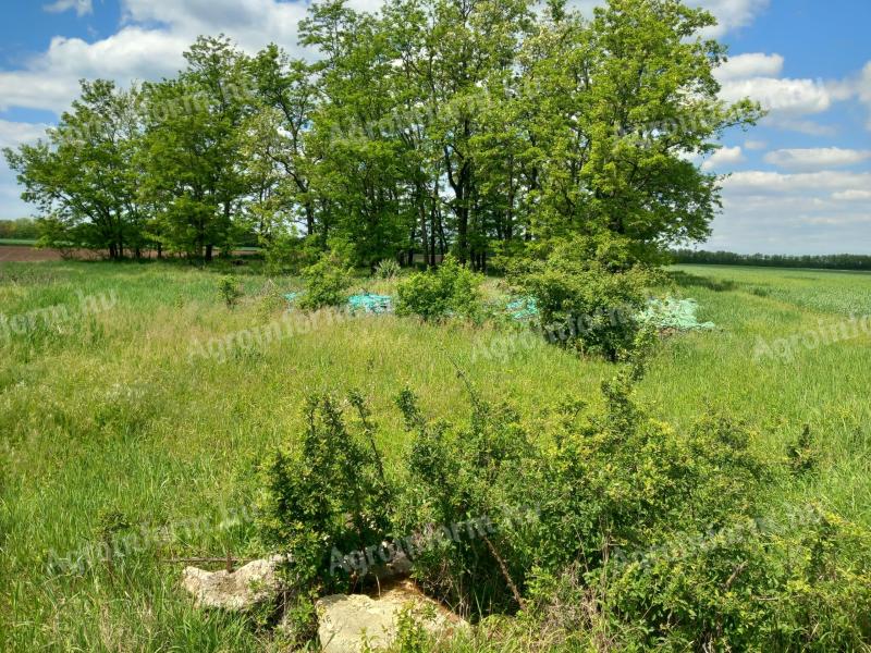 Sürgősen eladó 2996 m2 örökölt legelő Heves vármegye Csány külterület