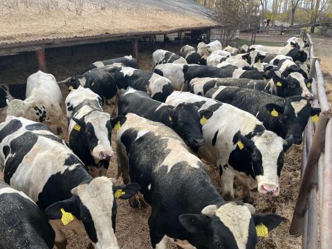 30 db HF bika lakcímet váltani 30 db HF bika lakcímet váltani