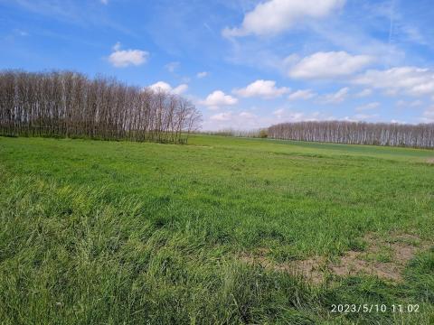 Eladó szántóföld Ugodon