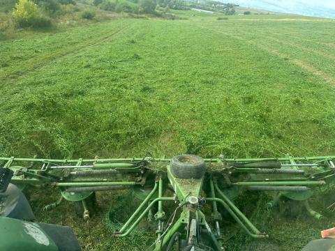 Csomagolt lucerna szenázs