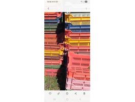 Eladó műanyag rekeszek Győr-Moson -Sopron vármegyében