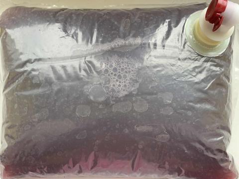 Eladó frissen préselt 100% szőlőlé – Merlot, Zweigelt, Rizling