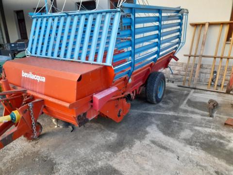 Hamszter,  rendfelszedő,  hamster Hamszter,  rendfelszedő,  hamster