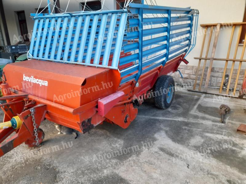 Hamszter,  rendfelszedő,  hamster