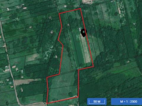 Kaposfői szőlőhegy eladó – 23 495 m² terület, pincével és gyümölcsfákkal