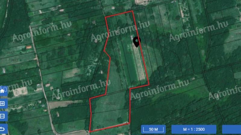 Kaposfői szőlőhegy eladó – 23 495 m² terület, pincével és gyümölcsfákkal