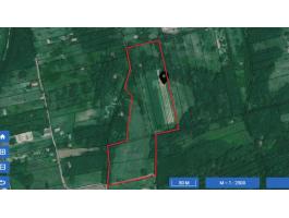 Kaposfői szőlőhegy eladó – 23 495 m² terület, pincével és gyümölcsfákkal