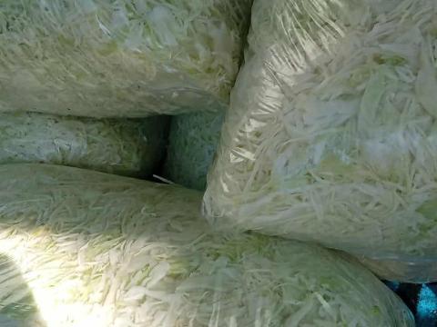 Frissen gyalult agressor káposzta 10 kg-os kiszerelésben Frissen gyalult agressor káposzta 10 kg-os kiszerelésben