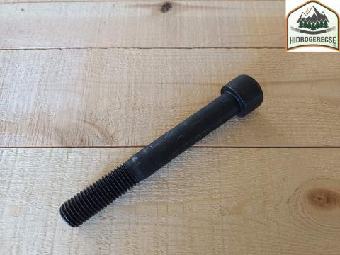 Imbusz csavar F003459 Timberjack 810B hátsó híd