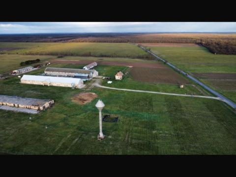 Ingatlan Csapodon, Ausztria határához közel, eladó állattartó telep Ingatlan Csapodon, Ausztria határához közel, eladó állattartó telep