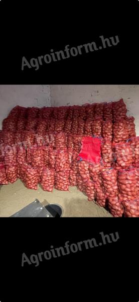 Desiree étkezési burgonya nagy mennyiségben eladó