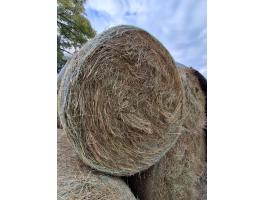 Gyep széna
