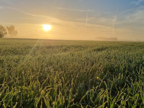 Minimum 20 hektáros tanyás ingatlant keresek Bács-Kiskun vármegyében Minimum 20 hektáros tanyás ingatlant keresek Bács-Kiskun vármegyében