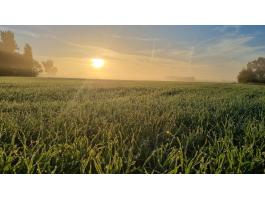 Minimum 20 hektáros tanyás ingatlant keresek Bács-Kiskun vármegyében