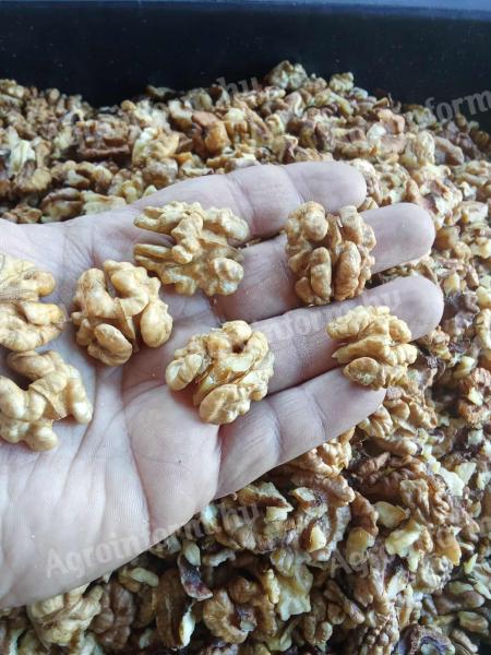 Eladó idei dióbél, postázás is lehetséges