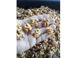 Eladó idei dióbél, postázás is lehetséges