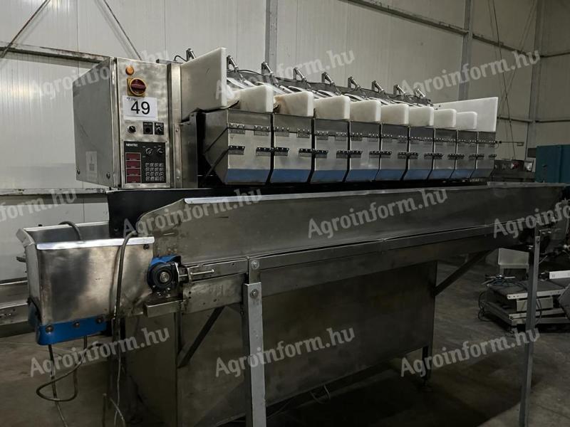 Newtec H2009XB többfejes mérleg – Precíziós csomagológép zöldségekhez és gyümölcsökhöz