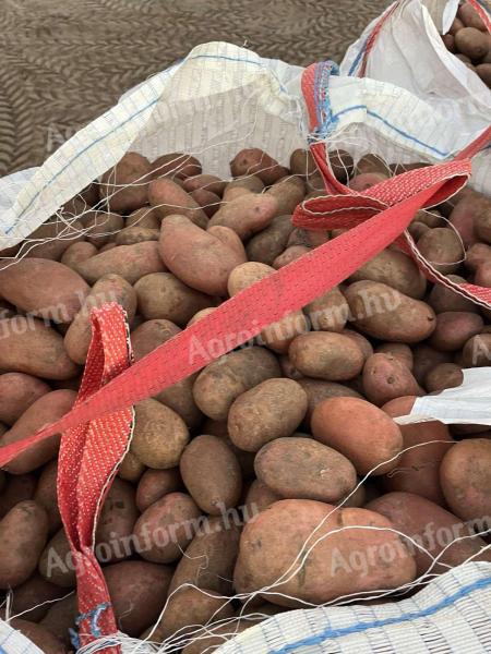 Memphis étkezési burgonya 50 Ft/kg