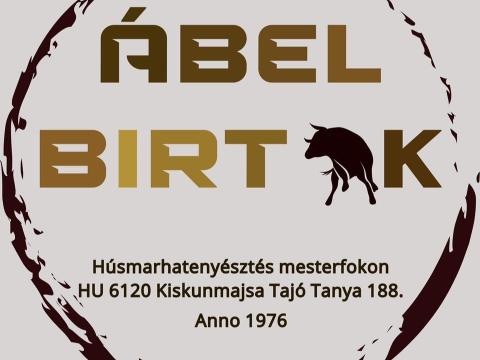 Limousin tenyészbikák Limousin tenyészbikák