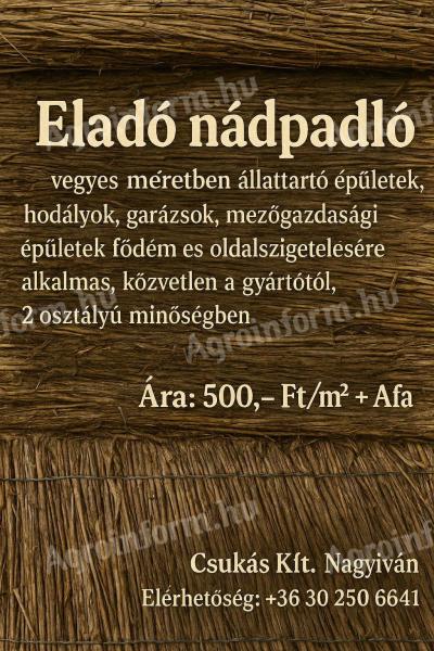 Nádpadló eladó, vegyes méretű, 2. osztályú, állattartó épületek szigeteléséhez