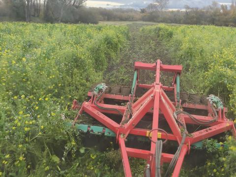 Agro Masz rövidtárcsa eladó – 3 méteres, újszerű állapotban Agro Masz rövidtárcsa eladó – 3 méteres, újszerű állapotban