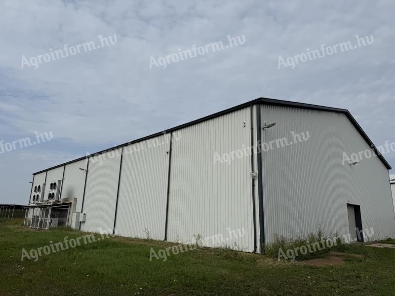 Szabolcsban 100 vagonos hűtőház eladó,  ebből 70 vagon ULO-s