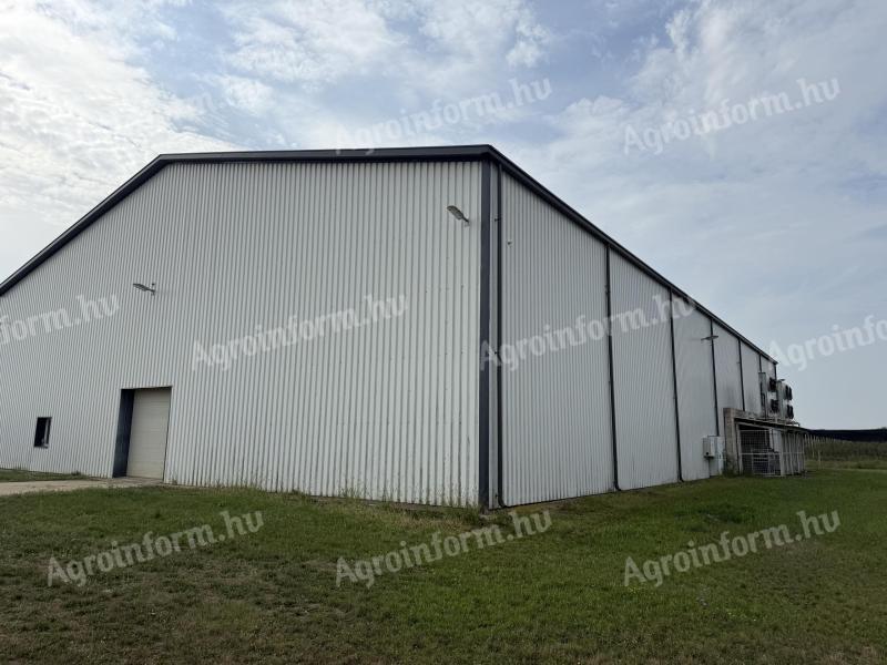 Szabolcsban 100 vagonos hűtőház eladó, ebből 50 vagon ULO-s