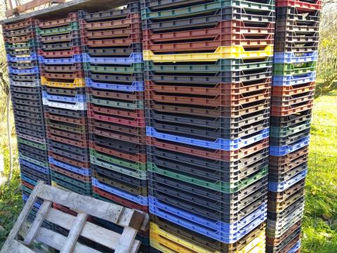 Málnás rekeszek eladók – kiváló állapotban, gyümölcstermesztőknek, kereskedőknek Málnás rekeszek eladók – kiváló állapotban, gyümölcstermesztőknek, kereskedőknek