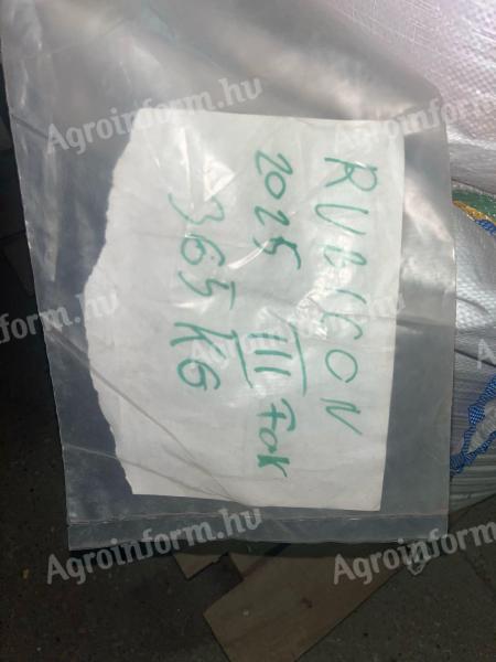 Őszibúza vetőmag Rubikon, Nádor