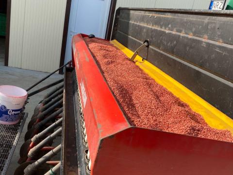 Angeloni europa HDK gabonavetőgép Angeloni europa HDK gabonavetőgép