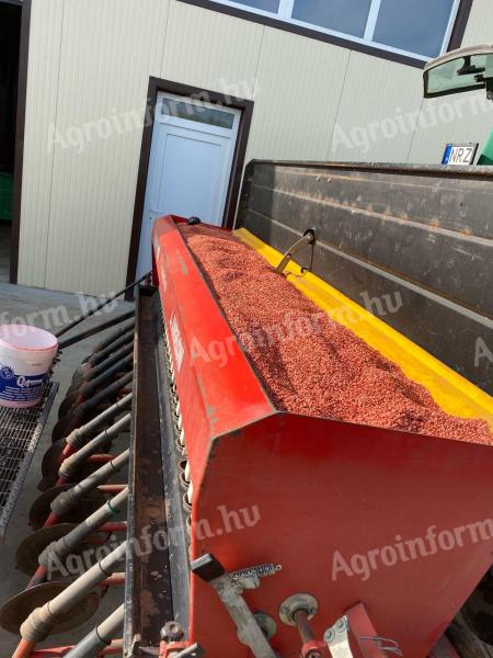 Angeloni europa HDK gabonavetőgép