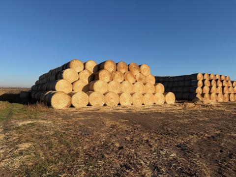 Körbála szalmabála eladó – 150-es, Mchale bálázóval készítve, kamionos tételben Körbála szalmabála eladó – 150-es, Mchale bálázóval készítve, kamionos tételben