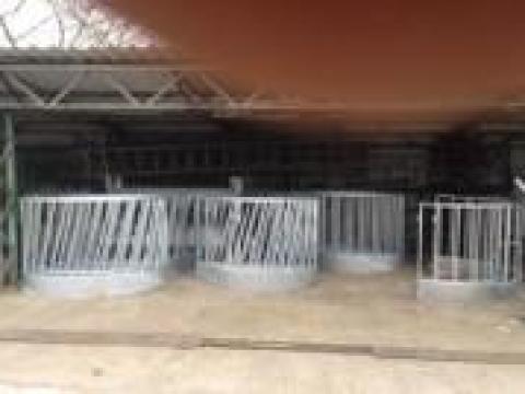 Juh körbála etető, tűzihorganyzott, ferde pálcás – 160 cm átmérő Juh körbála etető, tűzihorganyzott, ferde pálcás – 160 cm átmérő