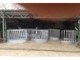 Juh körbála etető,  tűzihorganyzott,  ferde pálcás – 160 cm átmérő