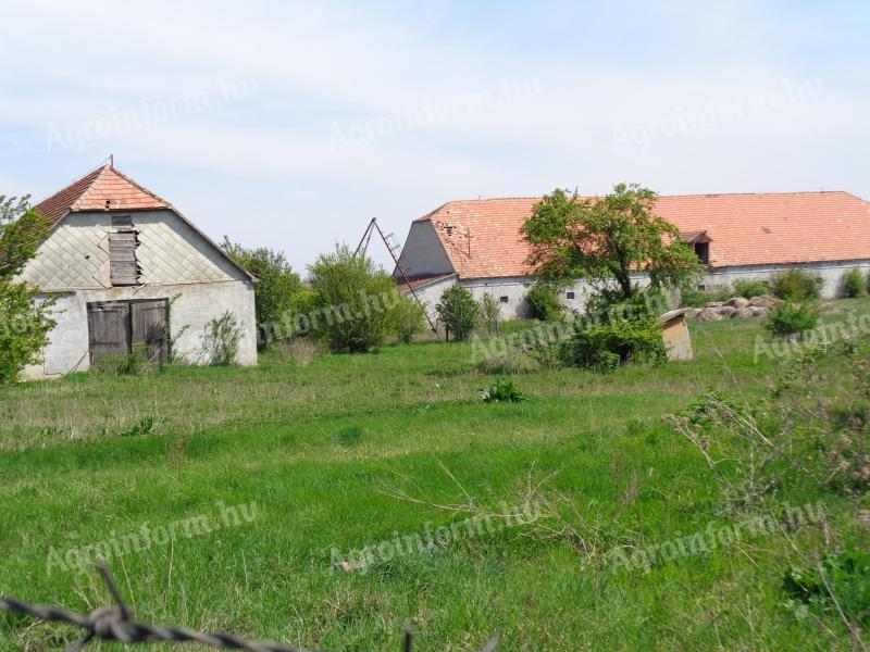 Sárbogárd szélén, a leendő M8 mellett 11 hektáros tanya eladó