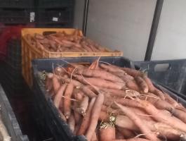 Takarmánynak való sárgarépa eladó