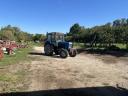 MTZ Belarusz 82