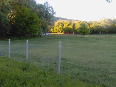 Lovastanya Piliscsabán eladó – 1 hektáros birtok, lóistállókkal, lakóépülettel