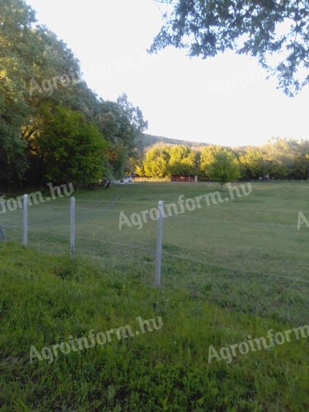 Lovastanya Piliscsabán eladó – 1 hektáros birtok lóistállókkal, lakóépülettel