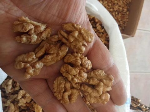 Idei száraz dióbél eladó, postázás megoldható