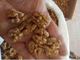 Idei száraz dióbél eladó, postázás megoldható